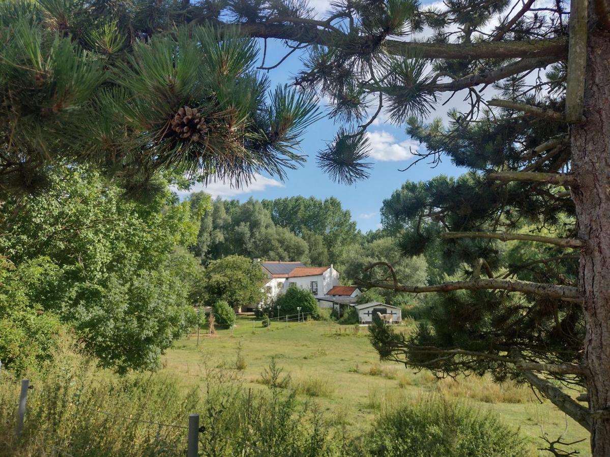 Moulin De Moxhe Micro Gite Et Gite - Bed & Dreams Bagian luar foto
